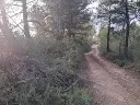 1285085140.webp