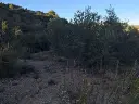 1282982703.webp