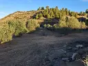 1282981356.webp