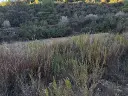 1282982678.webp