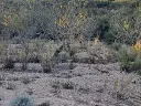 1282982696.webp