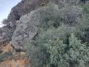 1282982692.webp