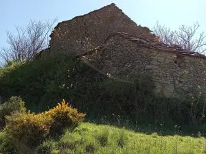 1330185541.webp