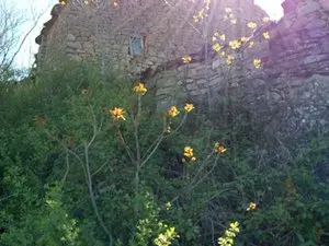 1330185549.webp