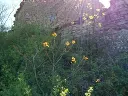 1330185549.webp