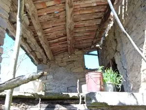 1330185551.webp