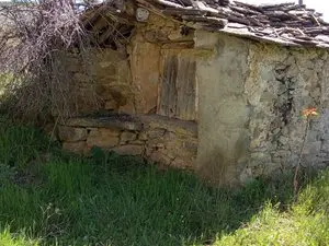 1330185577.webp