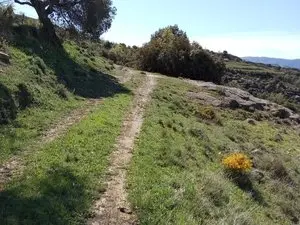 1330185548.webp