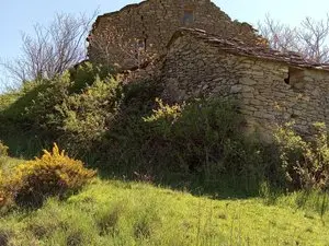 1330185576.webp