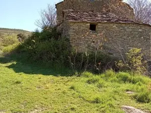1330185575.webp