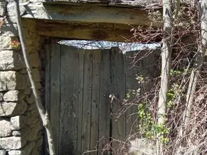 1330185559.webp