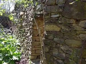 1330185571.webp