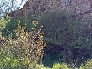 1330185566.webp