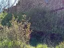 1330185566.webp