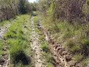1330185540.webp
