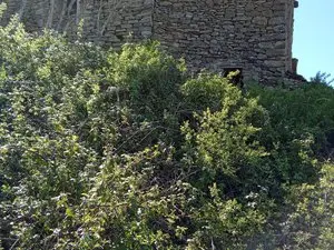 1330185568.webp