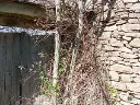 1330185582.webp