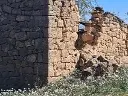 1234105382.webp