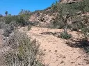 1236461219.webp