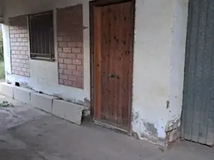 1175645918.webp