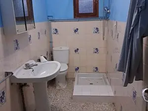 1175645924.webp