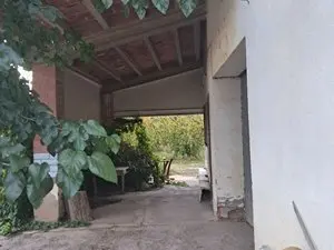 1175645927.webp