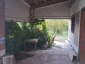 1175645933.webp