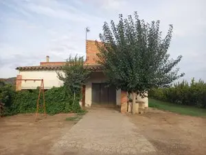 1175656566.webp