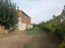 1175656595.webp