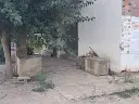 1175645947.webp