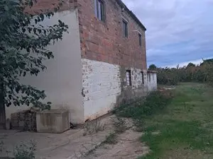 1175645944.webp