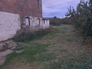 1175645920.webp