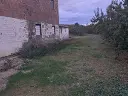 1175645920.webp