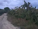 1175645917.webp