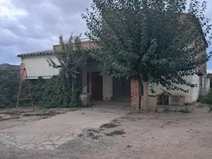 1175645923.webp