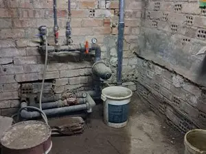 1175645921.webp