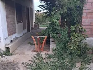 1175645946.webp