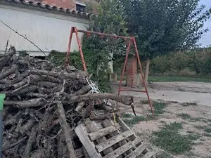 1175645943.webp