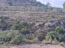 1170765429.webp