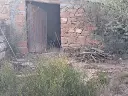 1170765562.webp