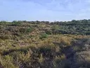 1170765574.webp