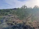 1170765579.webp