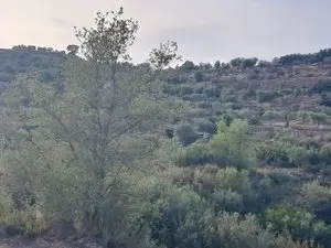 1170765428.webp
