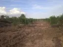 1170765585.webp