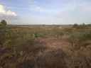 1170765589.webp