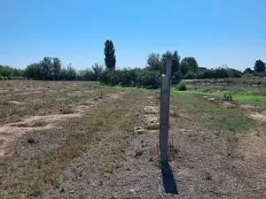 1149298698.webp