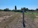 1149298698.webp
