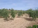 1143937925.webp