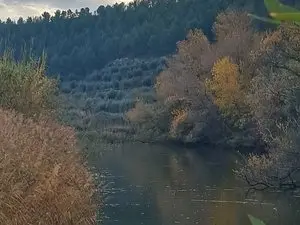 1188278825.webp