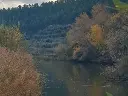 1188278825.webp